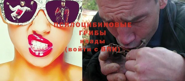 дживик Медногорск