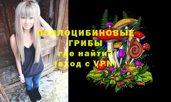 2c-b Мегион