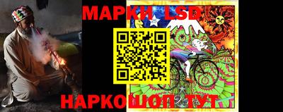 apvp Кингисепп