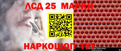 apvp Кингисепп