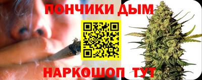 apvp Кингисепп