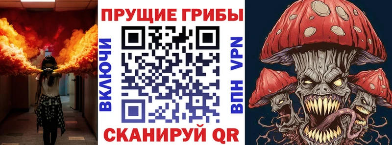 купить  цена  Тихорецк  Галлюциногенные грибы MAGIC MUSHROOMS 