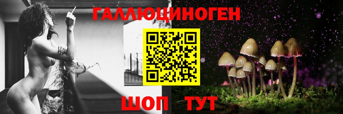 Псилоцибиновые грибы прущие грибы Тихорецк